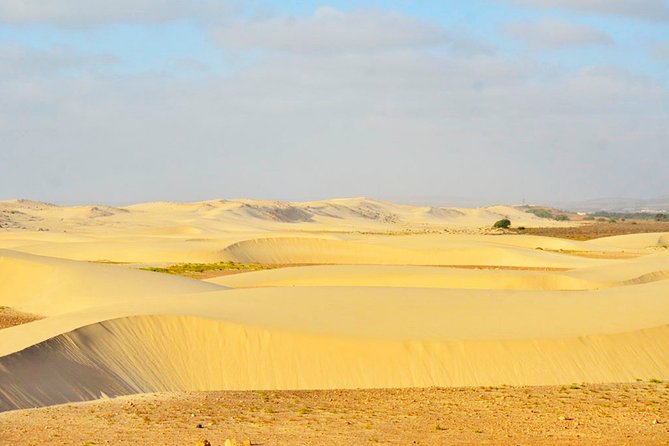 Boa Vista Island: Half-day Northern Tour + Viana Desert Adventure - Exploring Artisan Workshop