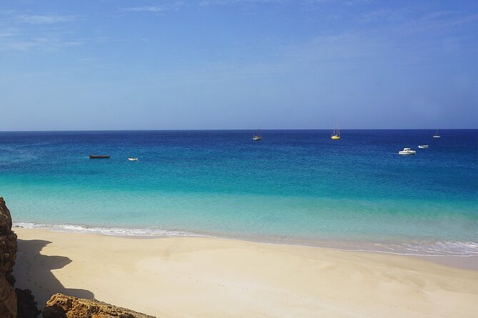 Boa Vista Tour: Santa Monica, Shark, Turtle, Desert & Shipwreck - Accessibility and Recommendations