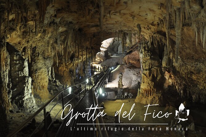 Boat Trip: Fico Cave, Cala Mariolu, Gabbiani & Biriala - Meeting and Pickup