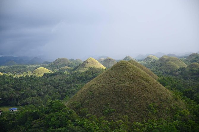 Bohol Chocolate Hills & Tarsiers With Roundtrip Ferry From Cebu - Discovering the Philippine Tarsier