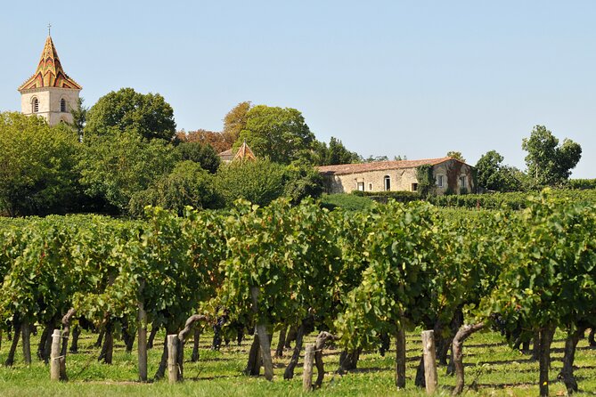 Bordeaux Vineyards Wine Tasting Half-Day Trip - Wine Tasting Experience