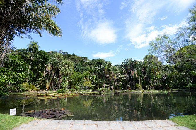Botanical Garden and Parque Lage Private Tour With a Photographer - Photography and Guides