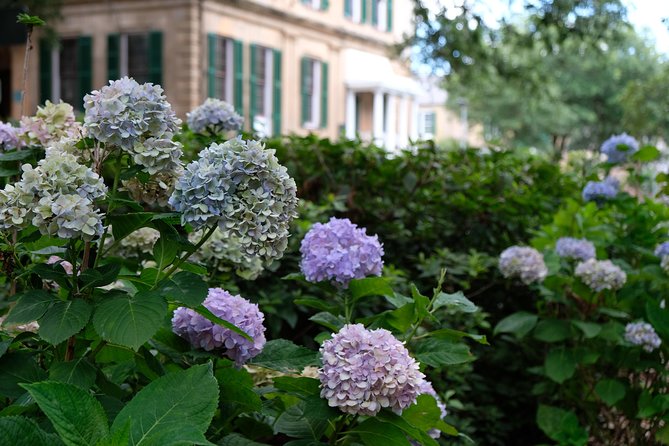 Botanical Tour (by Walk With Me Savannah Tours) - Detailed Tour Itinerary
