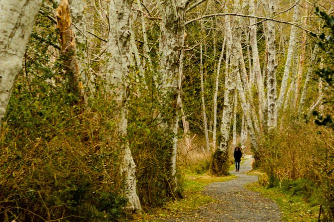 Bowen Island Ferry, Hike & Photography - Group Size and Accessibility