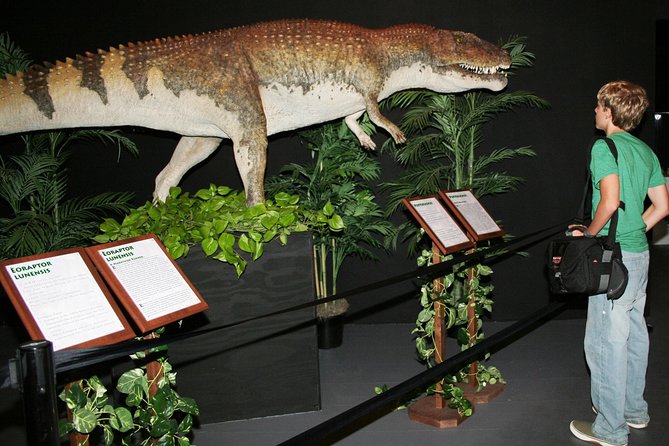 Branson Dinosaur Museum Admission Ticket - Included Amenities and Features