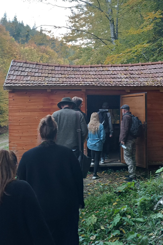 Brașov: 4-Hour Bear Watching Tour in Carpathian Mountains - Detailed Itinerary