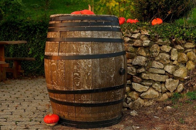 Bratislava 3-Hour Wine Tasting - Guided Sensory Experience