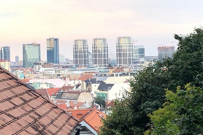 Bratislava Running Tour With a Local - Health and Accessibility Considerations