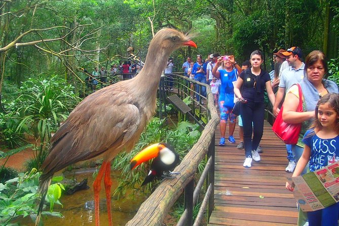 Brazilian Side Falls: Brazilian Falls Tour With Parque Das Aves: - National Park Entrance Fees