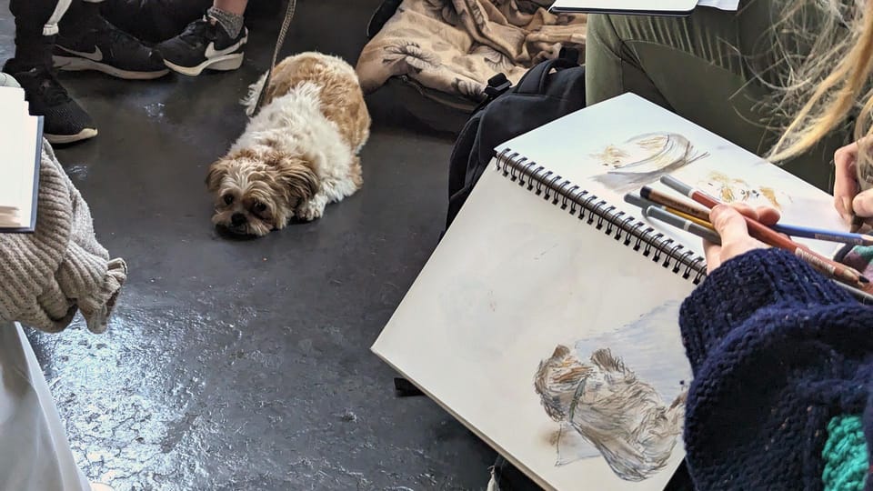 Bristol: Dog Life Drawing Led by Local Artist Cai Burton - Drawing Techniques and Instruction