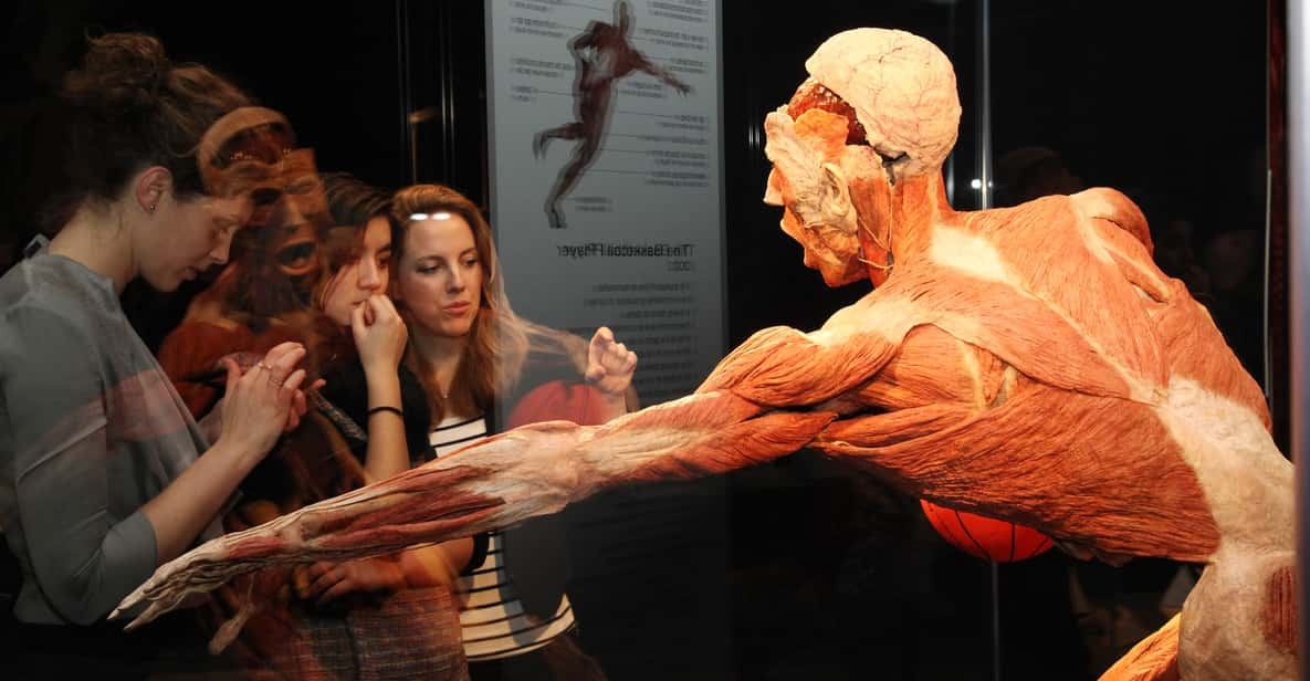 Bruges: Ticket to the Body Worlds Expo at the Oud Sint-Jan Site - Interactive Learning Opportunities