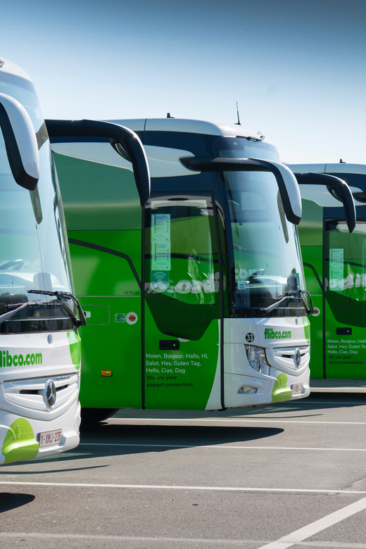 Brussels: Bus Transfer Between Charleroi & Zaventem Airport - Comfort and Amenities