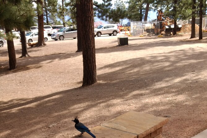 Bryce Canyon E-bike Tour - Inclusions and Accessibility