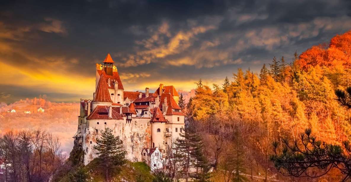 Bucharest: Dracula's Castle, Peles Castle & Brasov Day Trip - Included Services