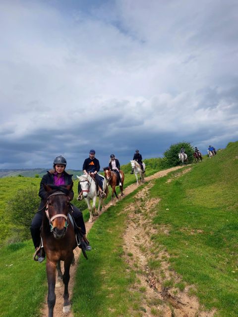 Bucharest: Horseback In the Nature and Traditional Lunch - Experience Highlights