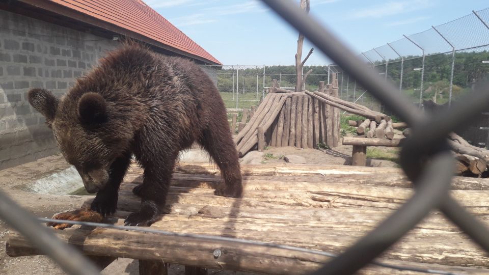 Budapest: Transport & Guided Tour of Bear and Wolf Sanctuary - Itinerary Highlights