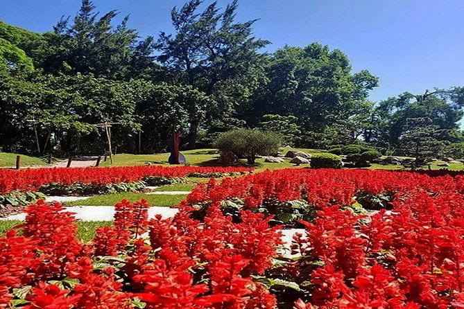 Buenos Aires Private Tour Discovering Palermo, The Japanese & Botanical Gardens - Reviews and Ratings