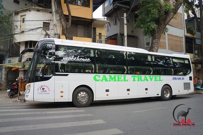 Bus Ticket Ninh Binh to Phong Nha - Travel Requirements and Restrictions