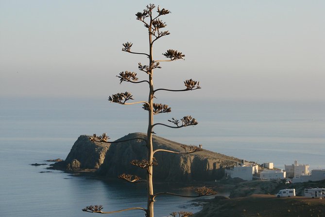 Cabo De Gata Natural Park From Roquetas, Aguadulce & Almeria - Tour Duration and Inclusions
