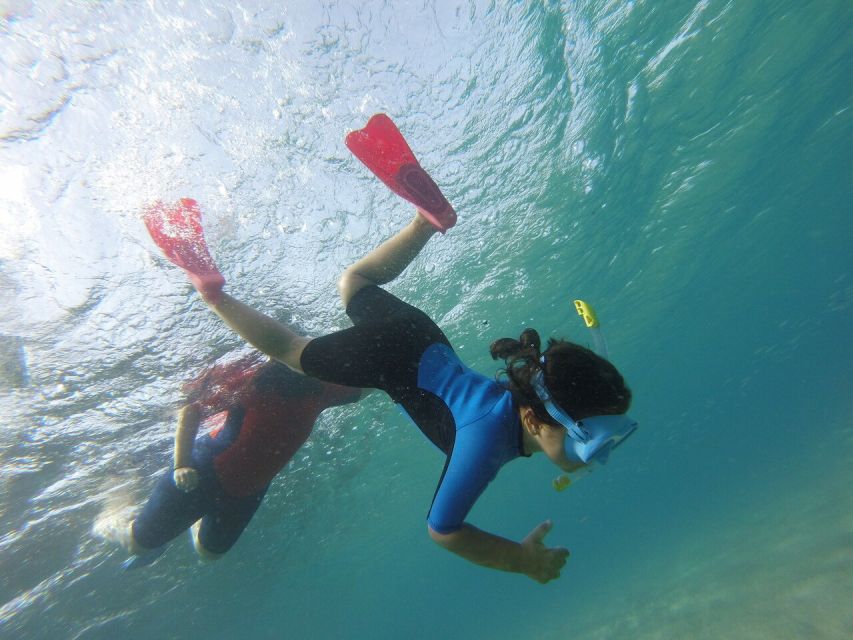 Cabo De Gata Natural Park: Guided Snorkeling Tour - Guided Itinerary and Ecosystems