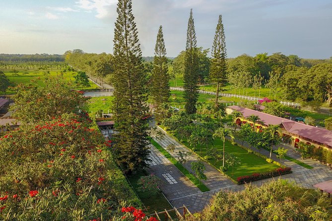 Cacao Farm and Hands-On Chocolate Making With 3-Course Meal in Guayaquil - Artisanal Chocolate Making