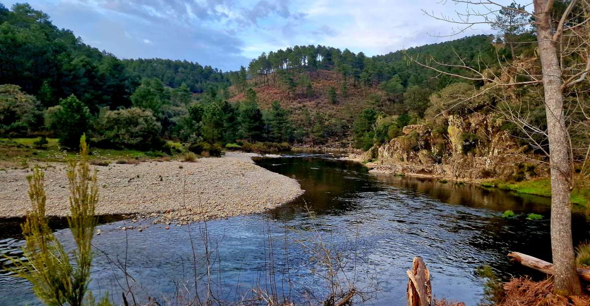 Cáceres: Gold Searching and Panning With an Expert Guide - Learning Components and Instruction