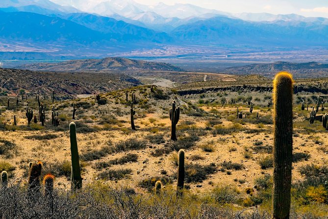 Cachi Full Day Tour From Salta - Cuesta Del Obispo