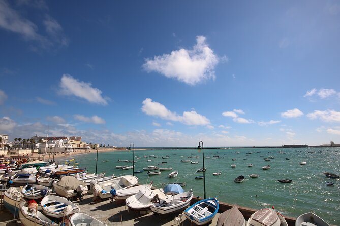 Cadiz Like a Local: Customized Private Tour - Tour Guide Profiles