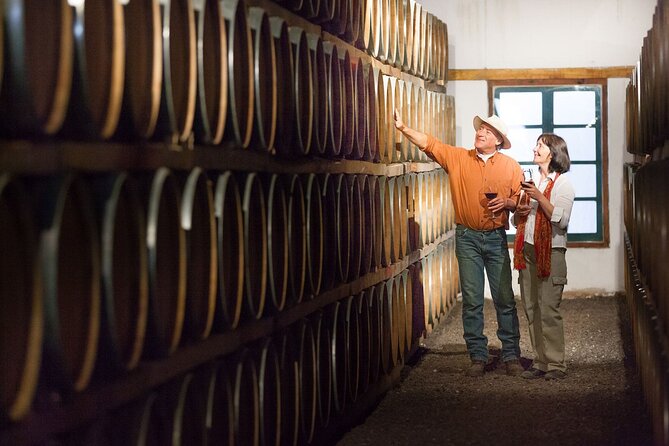 Cafayate Wine Trail Excursion: Explore Saltas Vineyards - Exploring the Museum of Vine and Wine