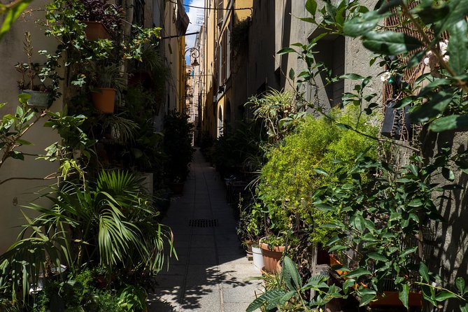 Cagliari Walking Tour: A Walk Through the Ancient Districts - What to Expect on the Tour