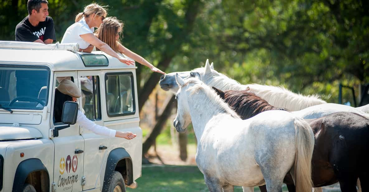 Camargue: Half-Day 4x4 Guided Safari Adventure - Itinerary Details