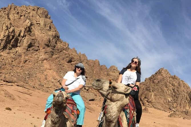 Camel Ride & Bedouin Dinner Quad Safari in Sharm El Sheikh - Safety Considerations