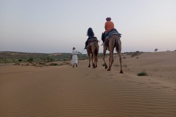 Camel Ride During Sunrise With Breakfast - Sunrise Viewing Experience