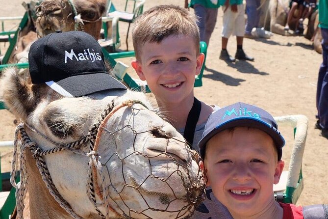 Camel Safari Through the Dunes of Maspalomas - Duration and Operating Hours