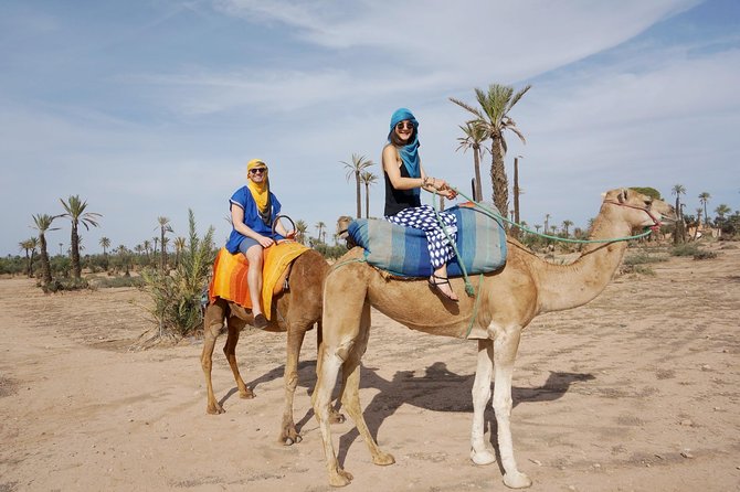 Camel Trek Around Marrakech Palmeraie - Ratings and Reviews