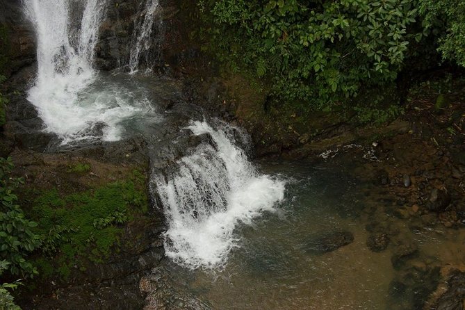Campesinos Waterfalls and Hanging Bridges From Manuel Antonio - Reviews and Ratings