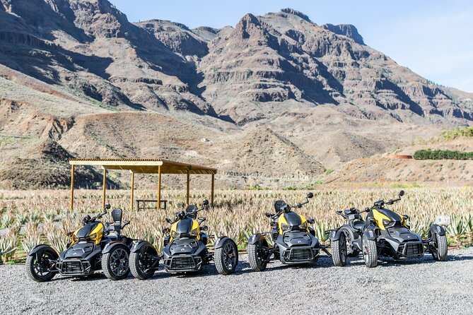 Can-Am Ryker Three Wheels Tricycle Mountain Tour (Maspalomas) - Mirador Astronómico De La Degollada De Las Yeguas