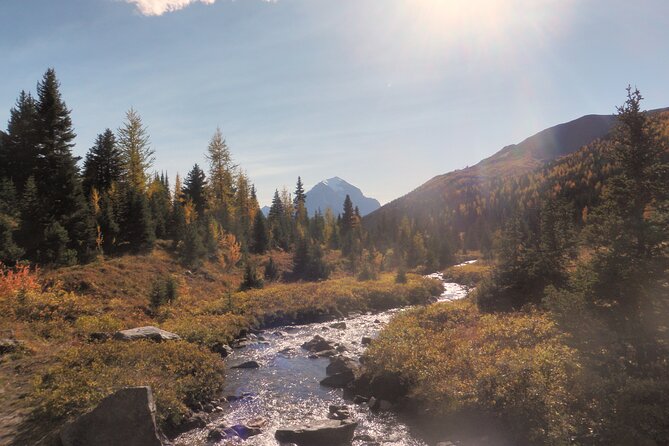 Canadian Rockies Hiking Adventure in Kananaskis Provincial Park - Participant Requirements