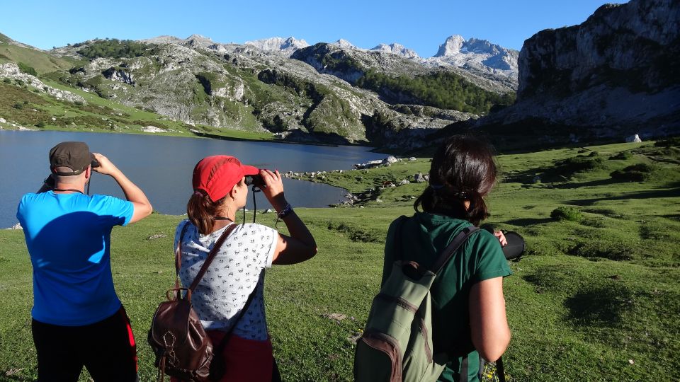 Cangas De Onís: Lakes of Covadonga Guided Tour - Included Experiences