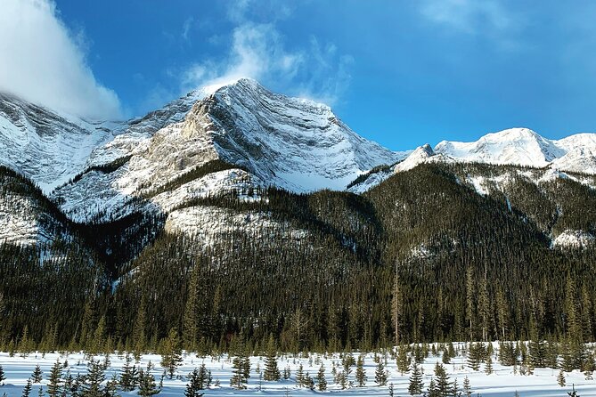 Canmore: Wilderness & Wildlife Walking Tour - 2hrs - Additional Information