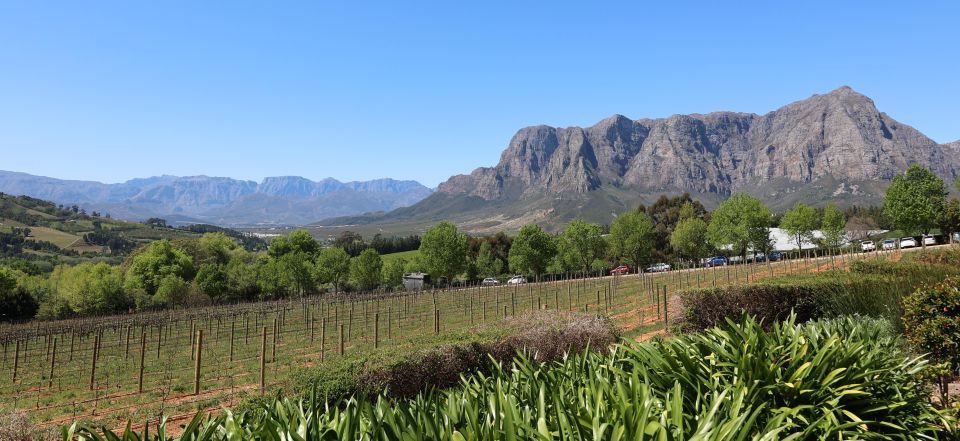 Cape Peninsula and Winelands Private Full-Day Combo Tour - Included Features