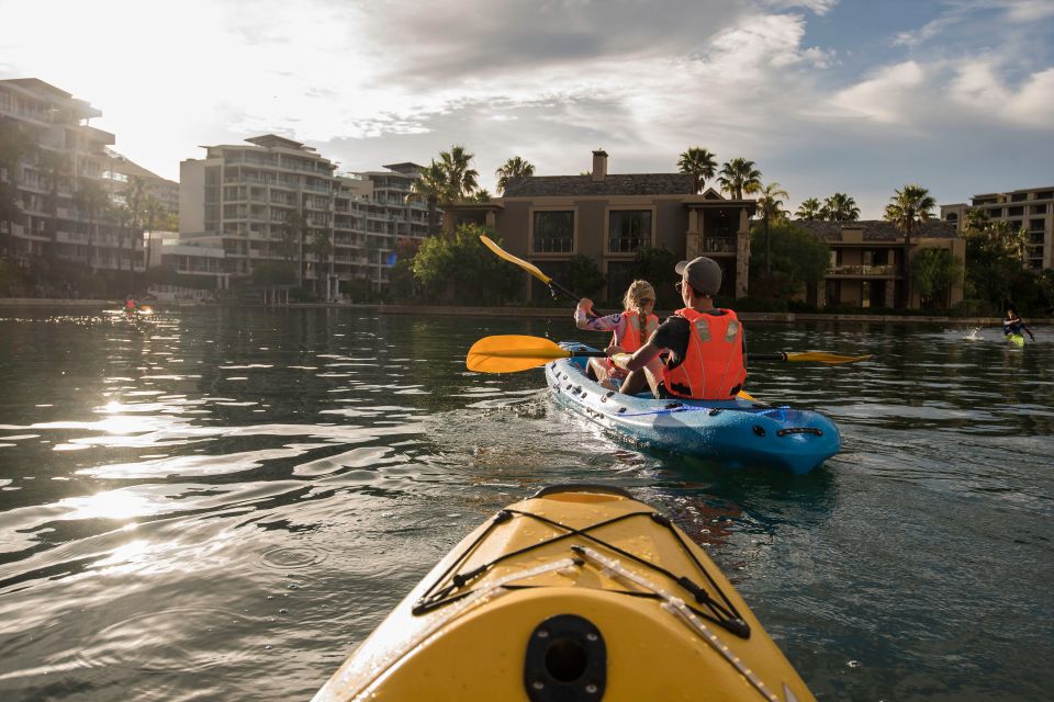 Cape Town: Day or Night Guided Kayak Tour in Battery Park - Family-Friendly Kayaking Experience