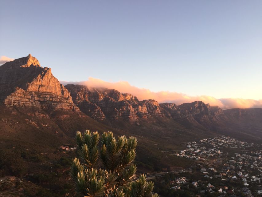 Cape Town: Guided Marine Wildlife Cruise and Cape Point Tour - Included Amenities