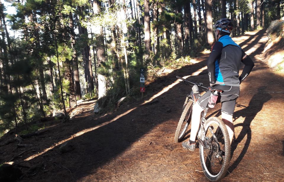 Cape Town: Mountain Biking Table Mountain to Constantia - Tour Features