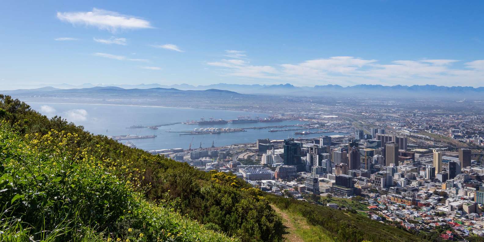 Cape Town: Private Full Day City Tour - Guiding Services