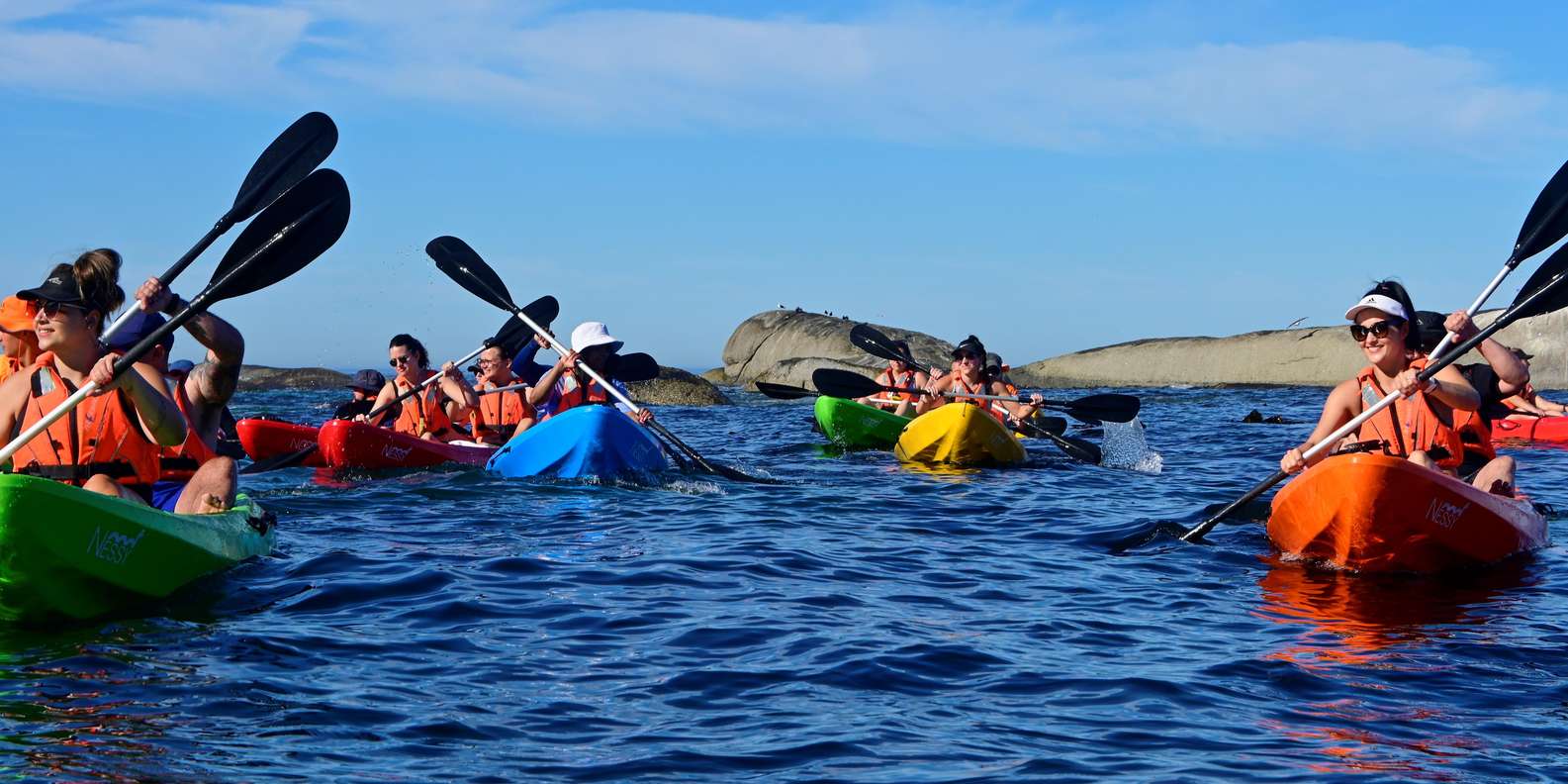 Cape Town: Private Guided Kayak Tour - Itinerary and Experience