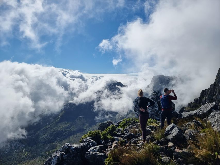 Cape Town: Table Mountain Hike With an Expert Guide - Navigating the Hiking Paths