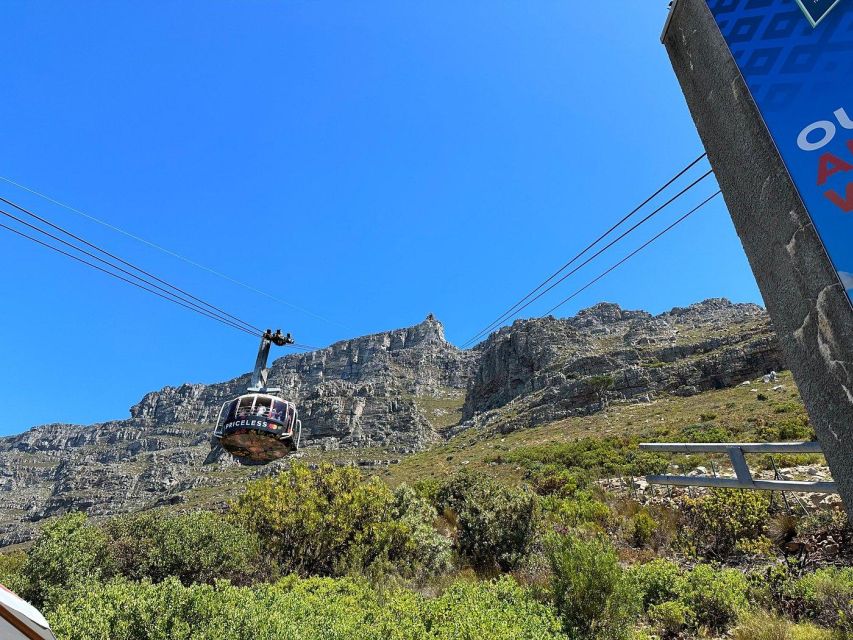 Cape Town: Table Mountain, Penguins & Cape Point Shared Tour - Tour Overview