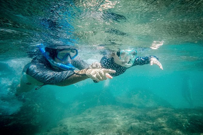 Cape Vidal Snorkeling Adventure - Inclusions for Participants