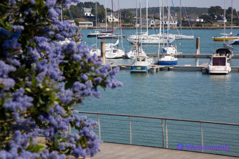 Carnac Tour: Megalithic Marvels and La Trinite Sur Mer - Tour Features